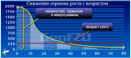 как снижается гормон роста как снижается гормон роста